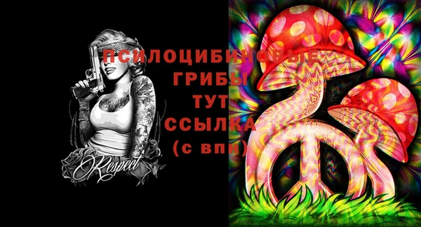 ешки Армянск