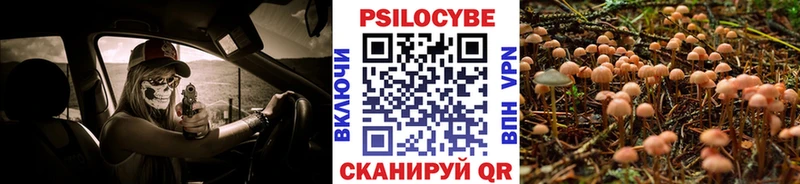 Купить где Спасск-Рязанский Псилоцибиновые грибы мухоморы